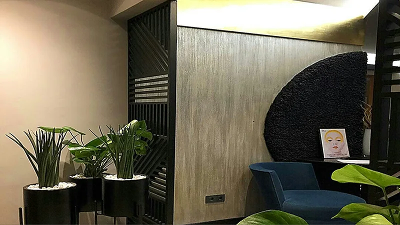 Dekorasyonda Süs Bitkileri ve Bitki Duvarları